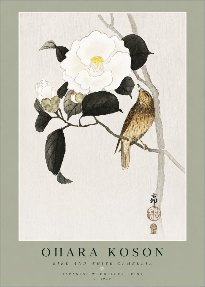 Ohara Koson Bird and White Camellia No4 - Plakát
