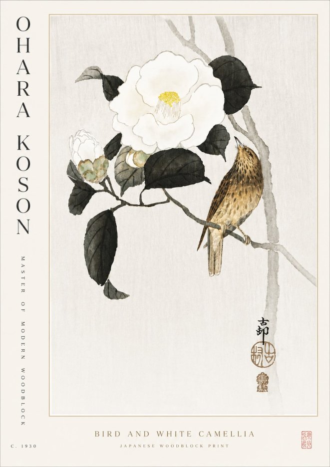 Ohara Koson Bird and White Camellia No5 - Plakát