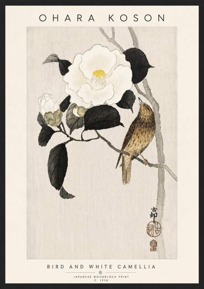 Ohara Koson Bird and White Camellia No6 - Plakát