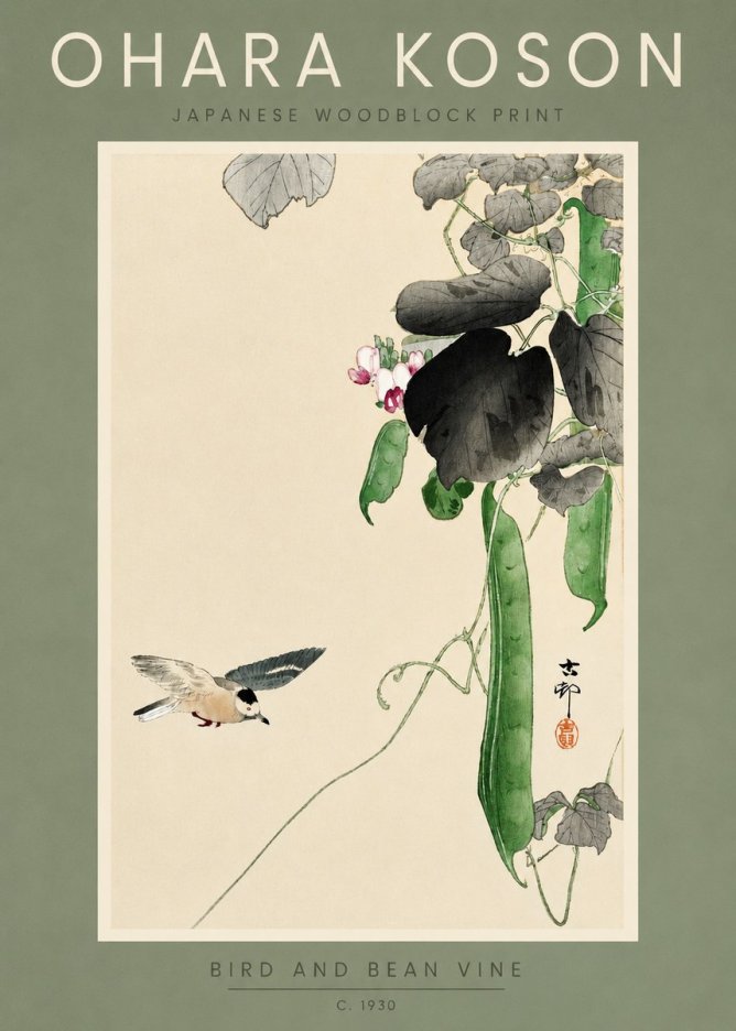 Ohara Koson Bird and Bean Vine No2 - Plakát