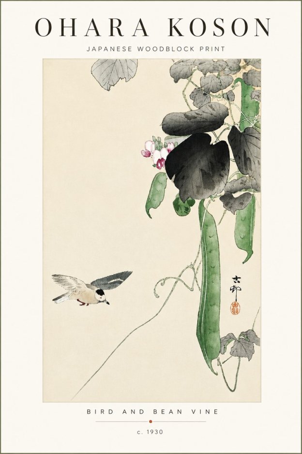 Ohara Koson Bird and Bean Vine No4 - Plakát