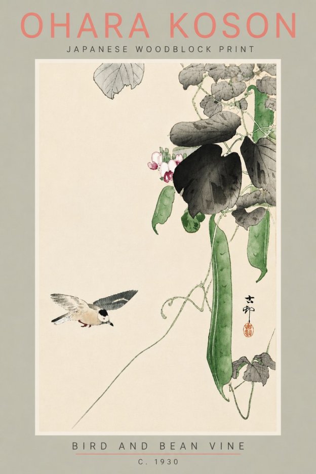 Ohara Koson Bird and Bean Vine No5 - Plakát