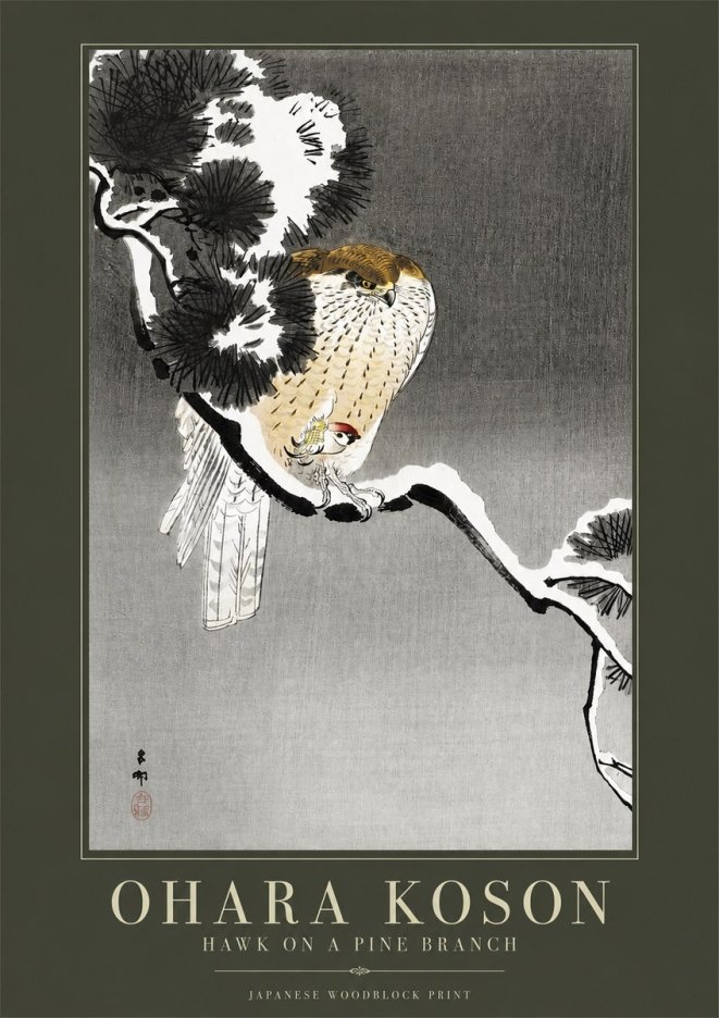 Ohara Koson Hawk on a Pine Branch No2 - Plakát