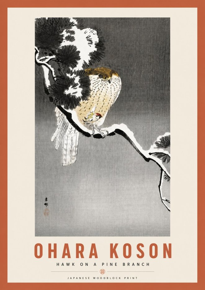 Ohara Koson Hawk on a Pine Branch No3 - Plakát