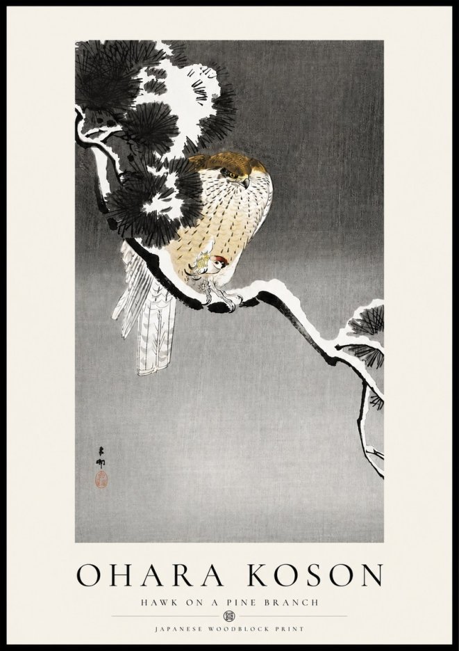 Ohara Koson Hawk on a Pine Branch No4 - Plakát