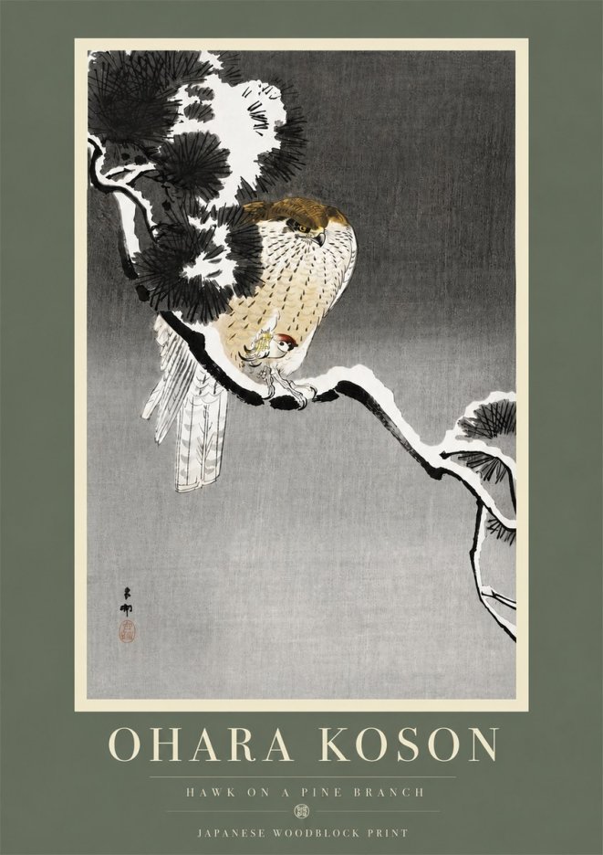 Ohara Koson Hawk on a Pine Branch No5 - Plakát