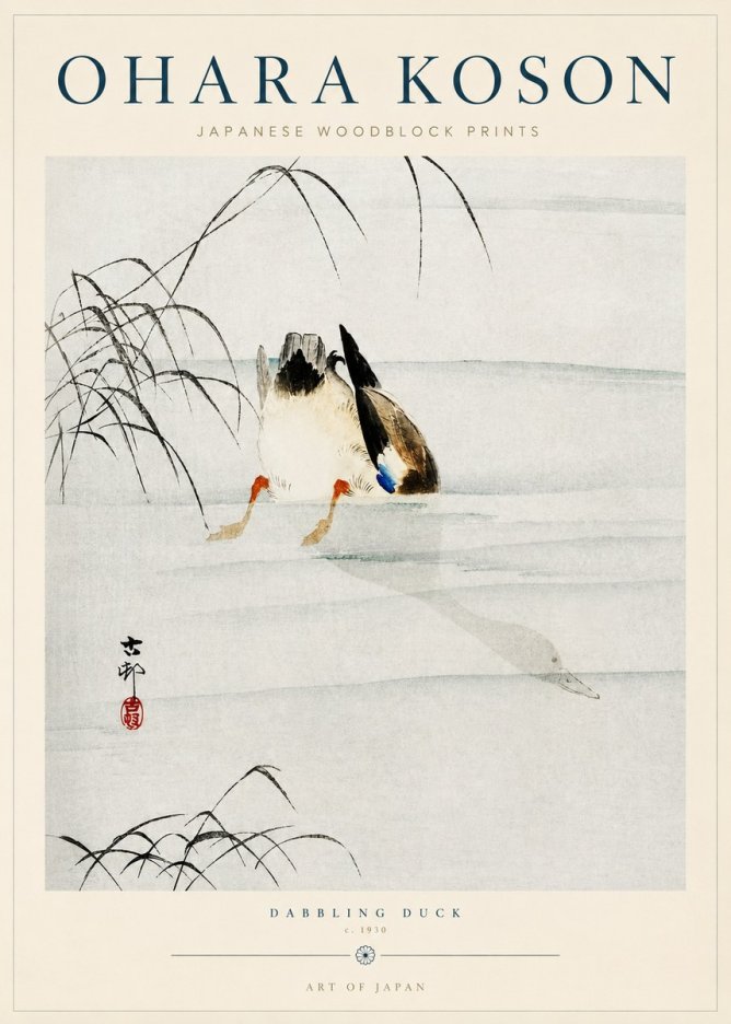 Ohara Koson Dabbling Duck No3 - Plakát