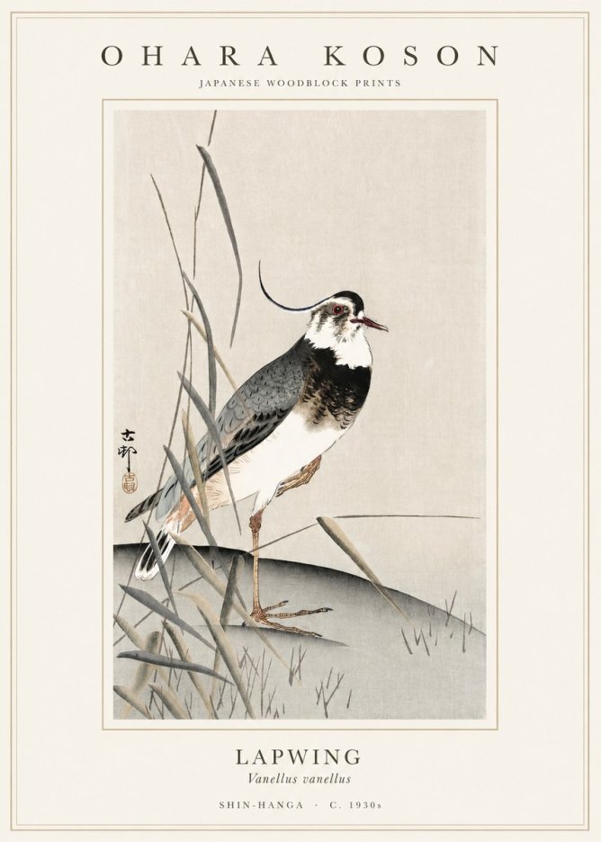 Ohara Koson Lapwing No1 - Plakát