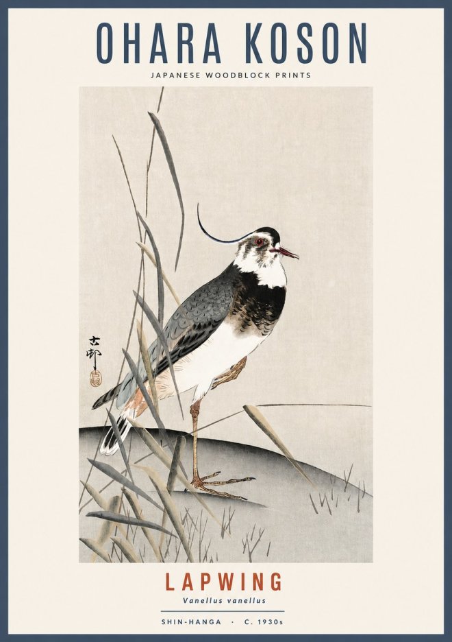 Ohara Koson Lapwing No2 - Plakát