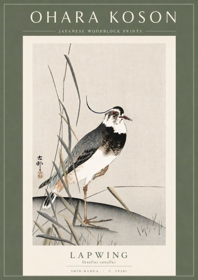 Ohara Koson Lapwing No3 - Plakát