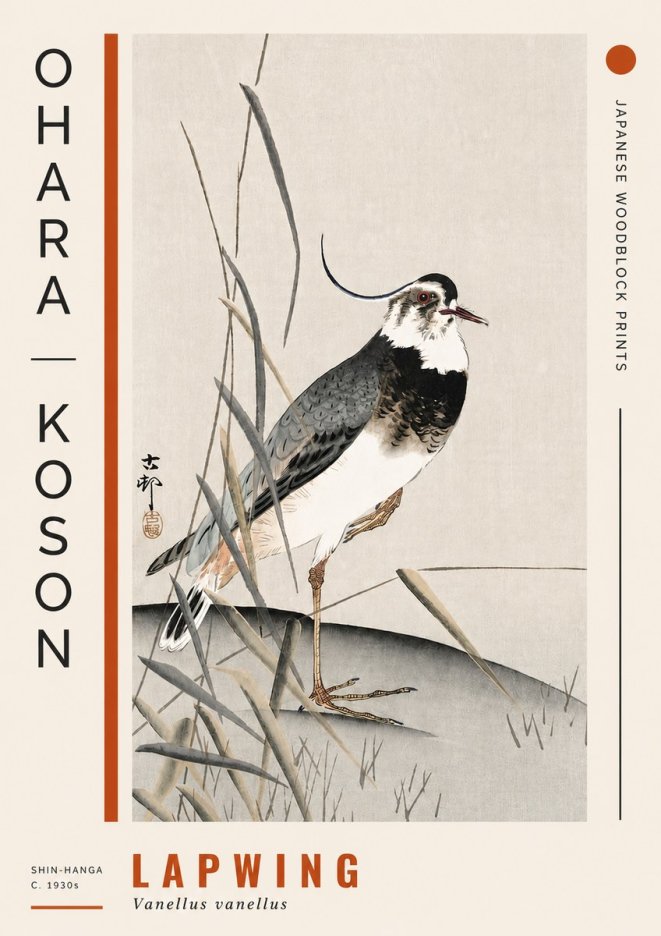 Ohara Koson Lapwing No4 - Plakát