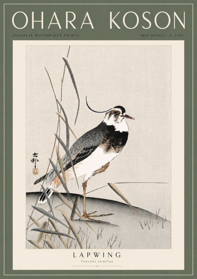 Ohara Koson Lapwing No6 - Plakát