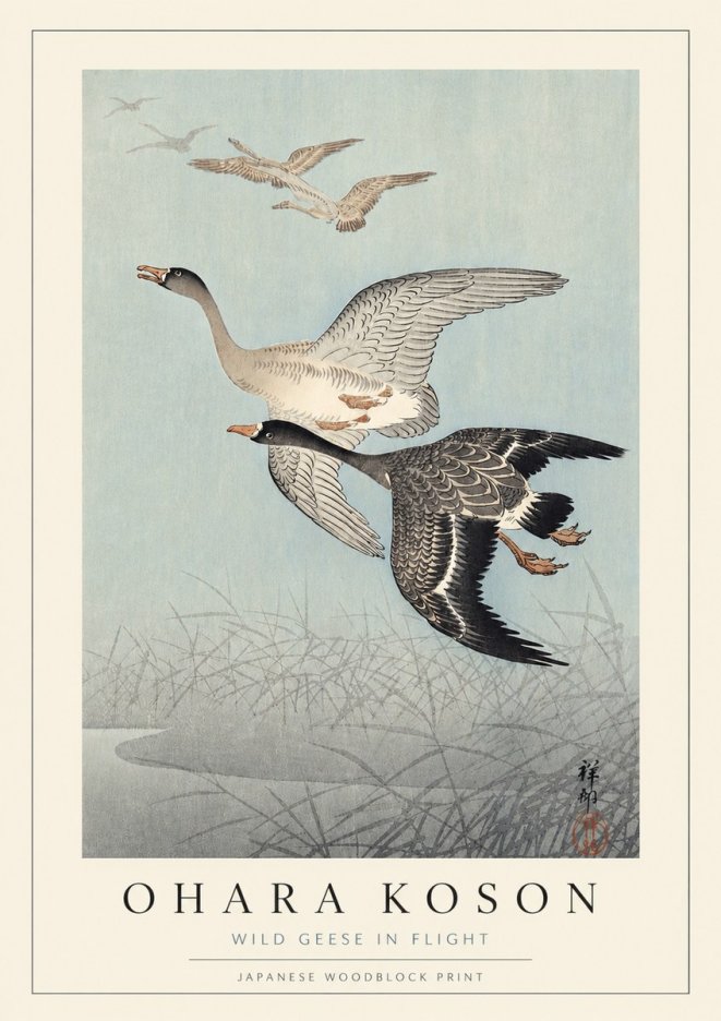 Ohara Koson Wild Geese in Flight II No3 - Plakát