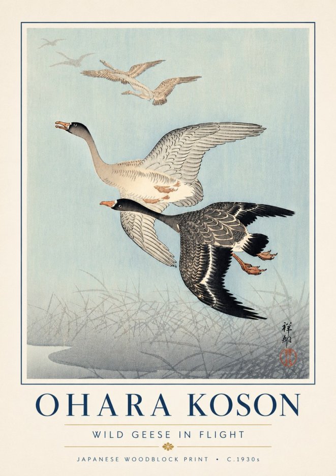 Ohara Koson Wild Geese in Flight II No6 - Plakát