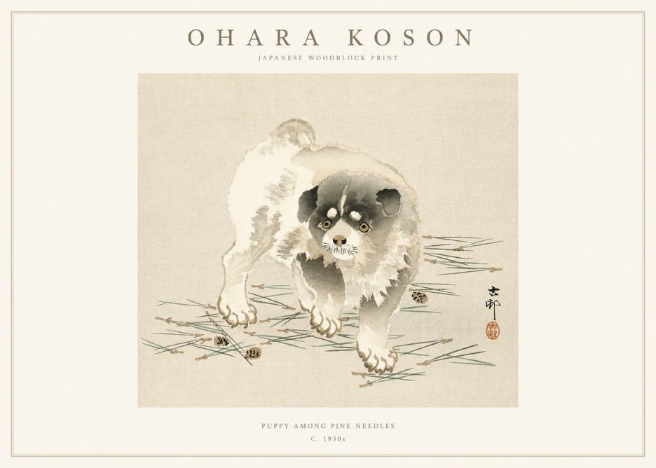 Ohara Koson Puppy Among Pine Needles No1 - Plakát