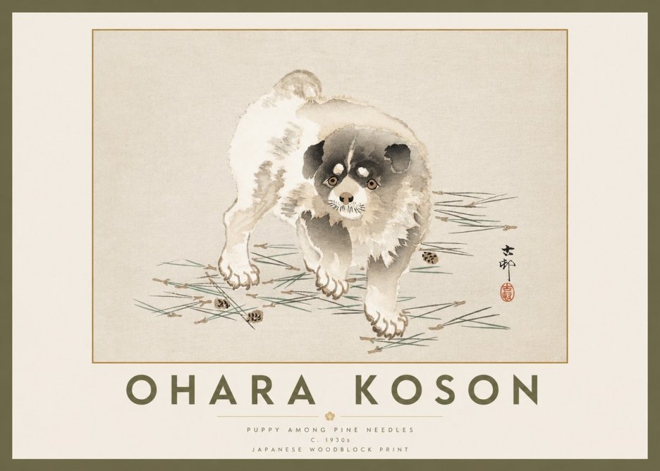 Ohara Koson Puppy Among Pine Needles No2 - Plakát