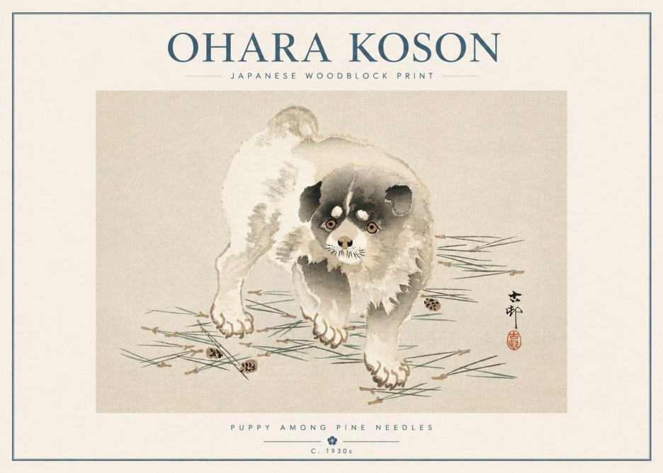 Ohara Koson Puppy Among Pine Needles No5 - Plakát