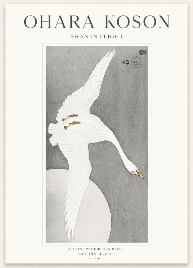 Ohara Koson Swan in Flight No1 - Plakát