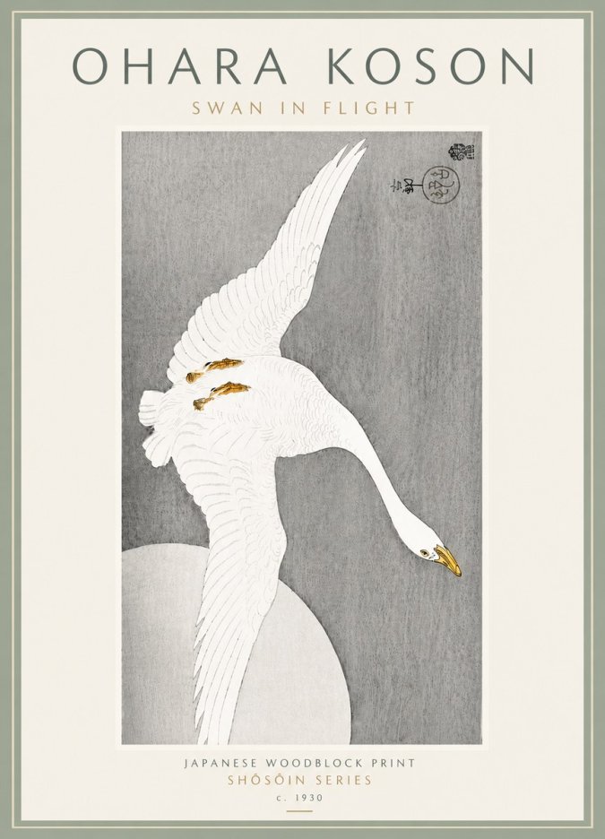 Ohara Koson Swan in Flight No6 - Plakát