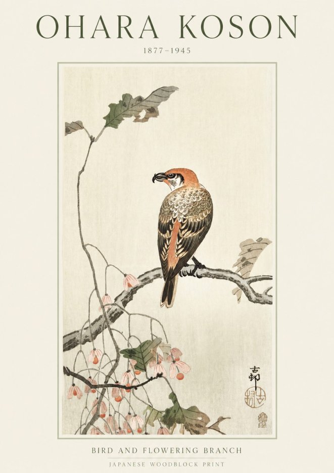 Ohara Koson Bird and Flowering Branch No1 - Plakát