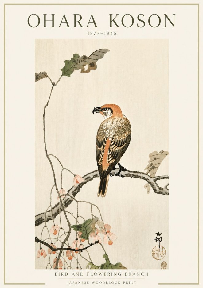Ohara Koson Bird and Flowering Branch No5 - Plakát