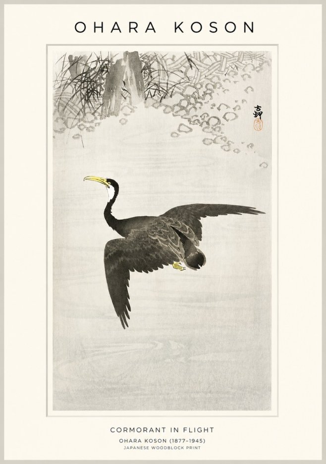 Ohara Koson Cormorant in Flight No1 - Plakát