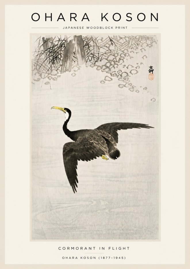 Ohara Koson Cormorant in Flight No3 - Plakát