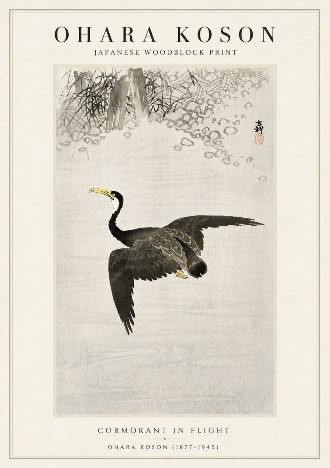 Ohara Koson Cormorant in Flight No5 - Plakát