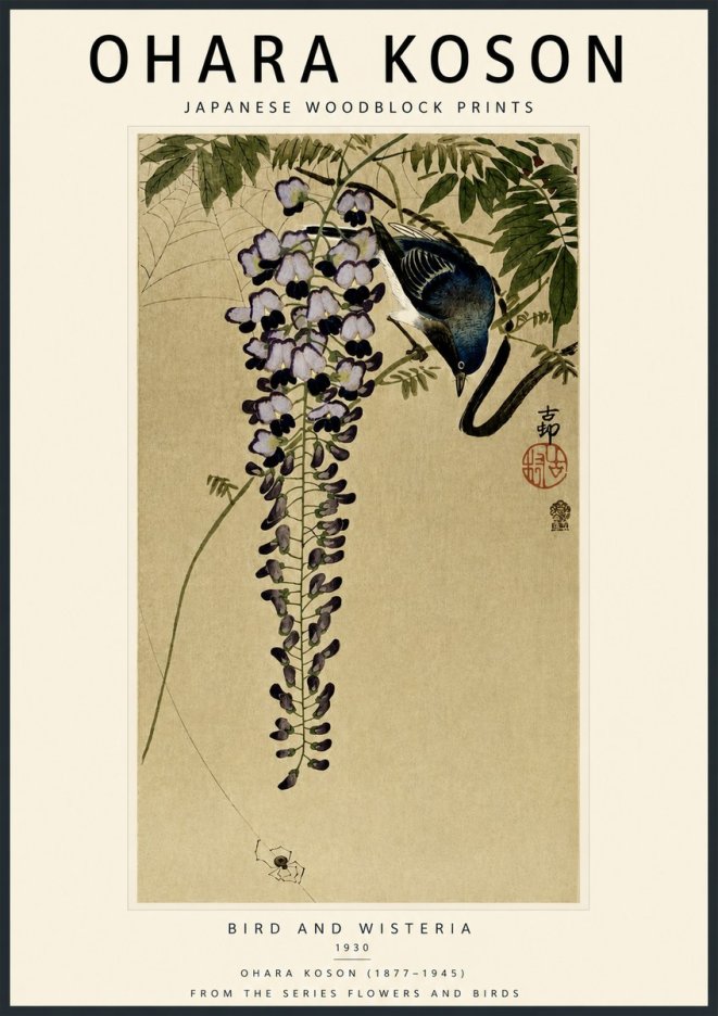 Ohara Koson Bird and Wisteria No5 - Plakát