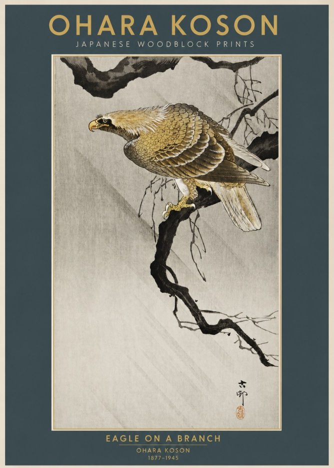 Ohara Koson Eagle on a Branch II No2 - Plakát