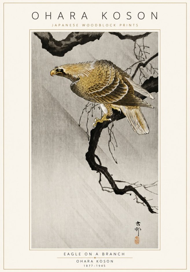 Ohara Koson Eagle on a Branch II No3 - Plakát
