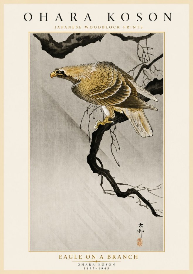 Ohara Koson Eagle on a Branch II No5 - Plakát