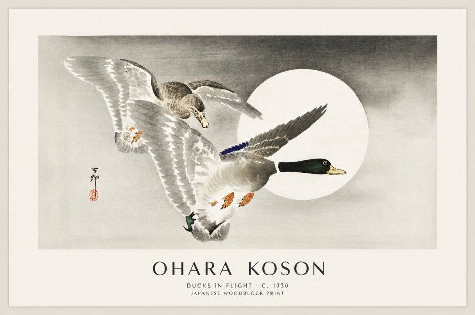 Ohara Koson Ducks in Flight No1 - Plakát