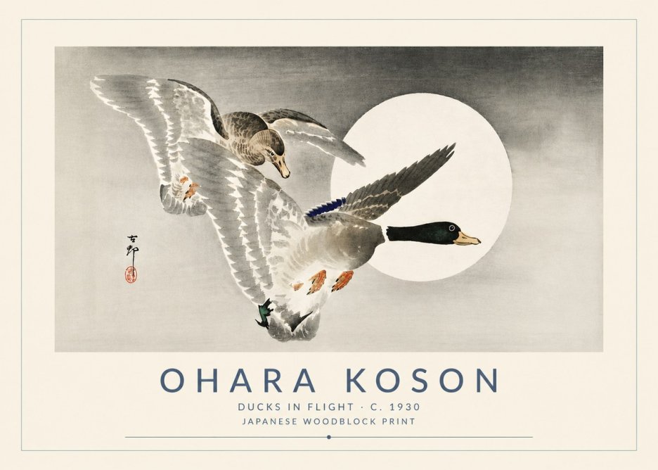 Ohara Koson Ducks in Flight No5 - Plakát