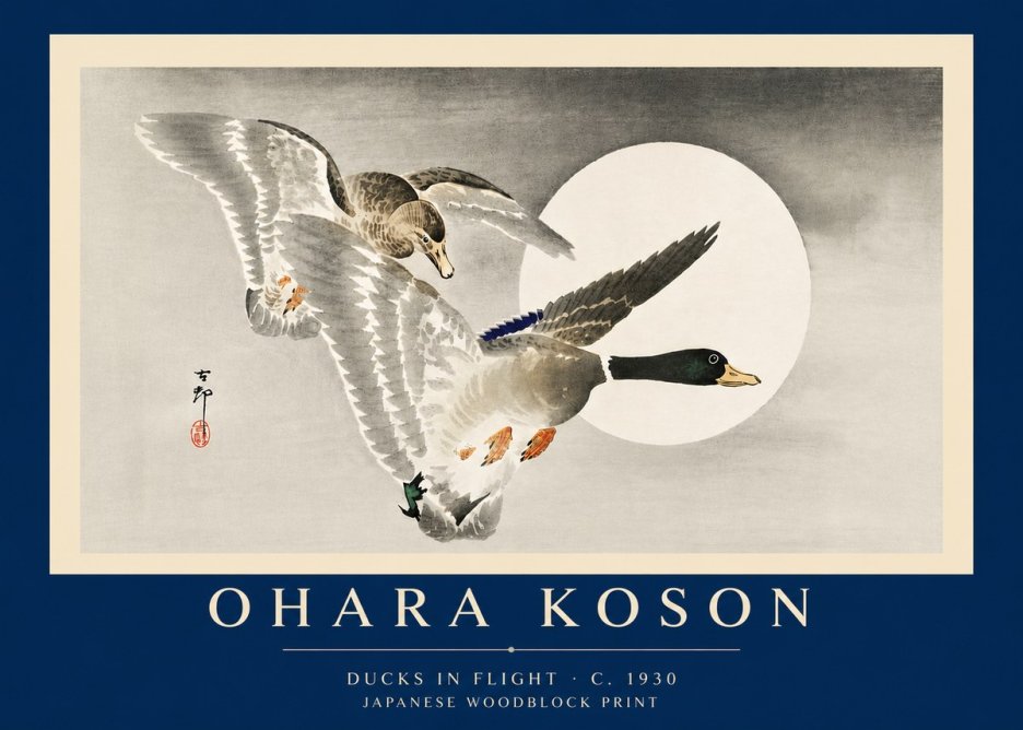Ohara Koson Ducks in Flight No6 - Plakát