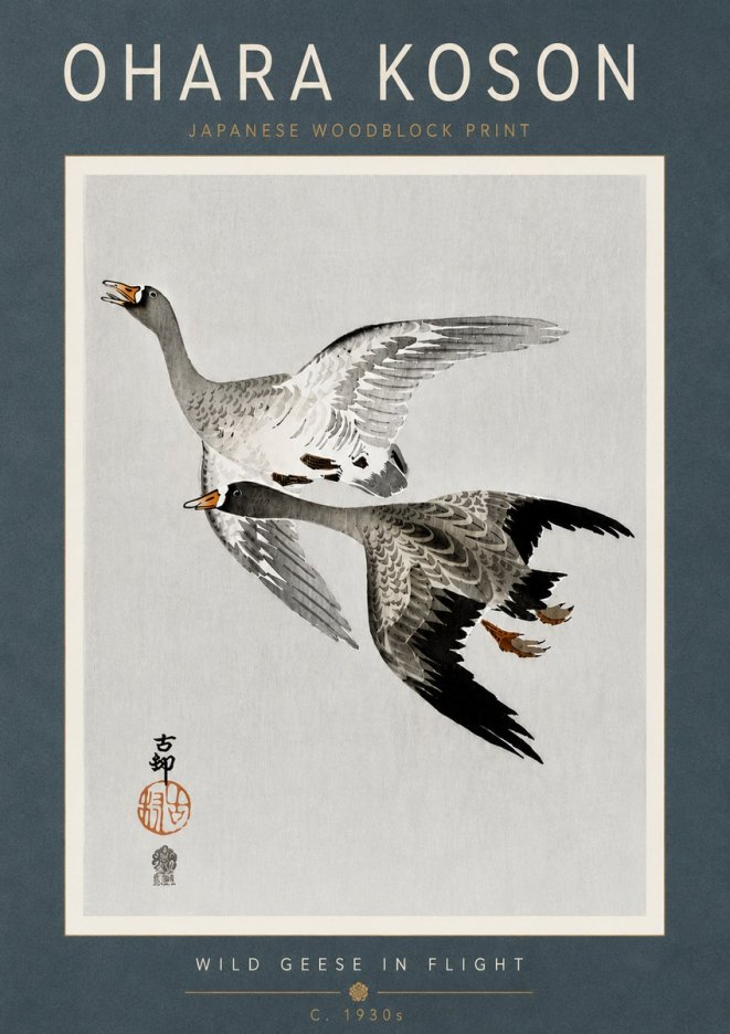 Ohara Koson Wild Geese in Flight III No6 - Plakát