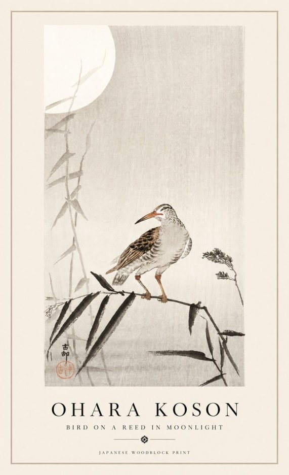 Ohara Koson Bird on a Reed in Moonlight No1 - Plakát