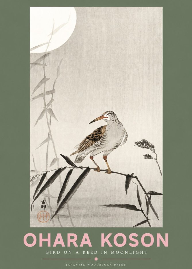 Ohara Koson Bird on a Reed in Moonlight No3 - Plakát