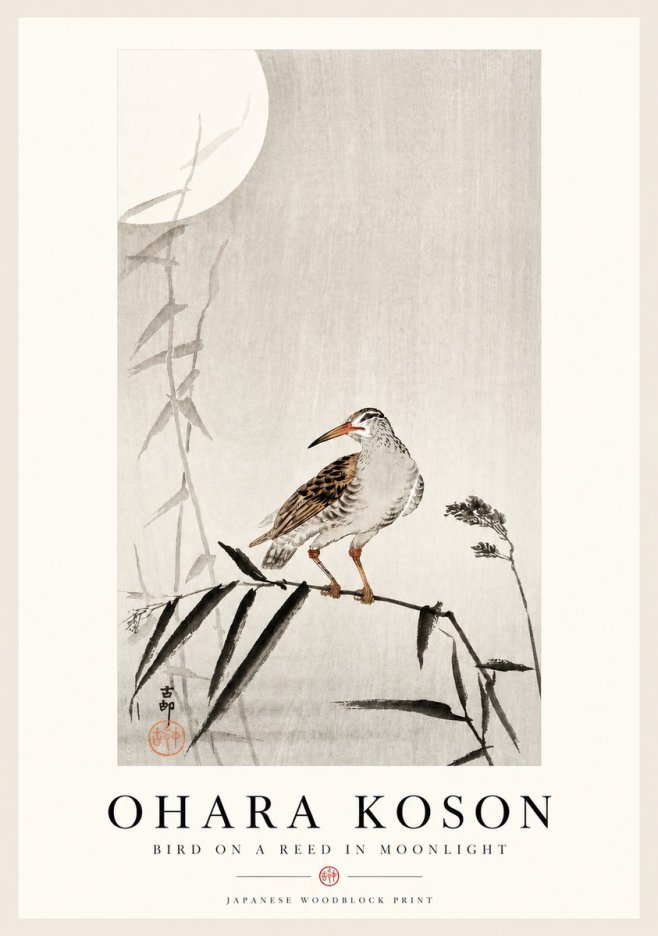 Ohara Koson Bird on a Reed in Moonlight No4 - Plakát
