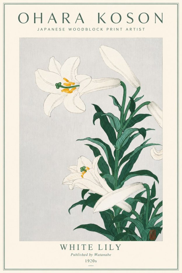 Ohara Koson White Lily No3 - Plakát