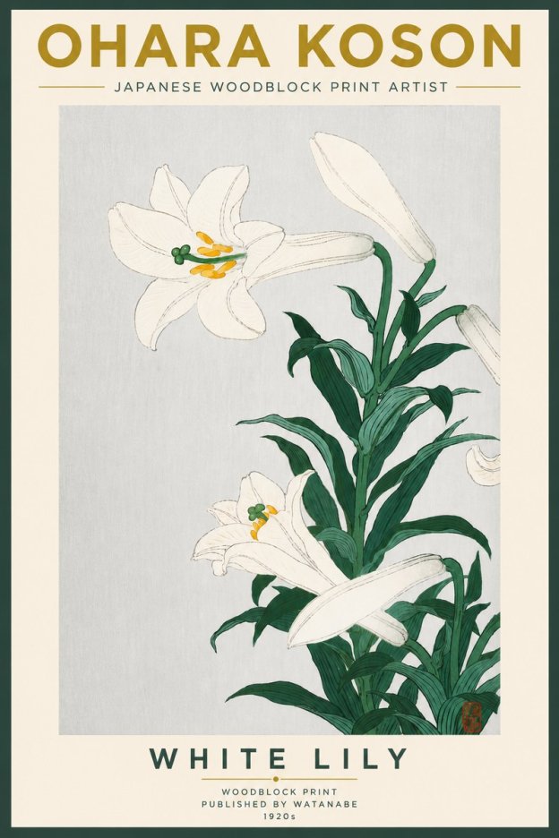 Ohara Koson White Lily No5 - Plakát