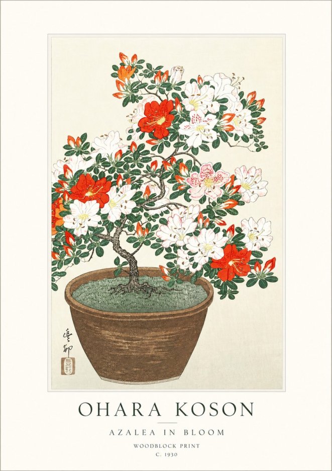Ohara Koson Azalea in Bloom No1 - Plakát