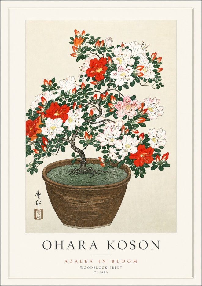 Ohara Koson Azalea in Bloom No3 - Plakát