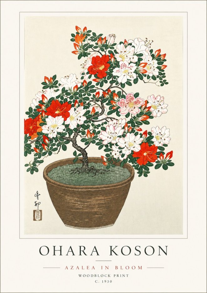 Ohara Koson Azalea in Bloom No6 - Plakát
