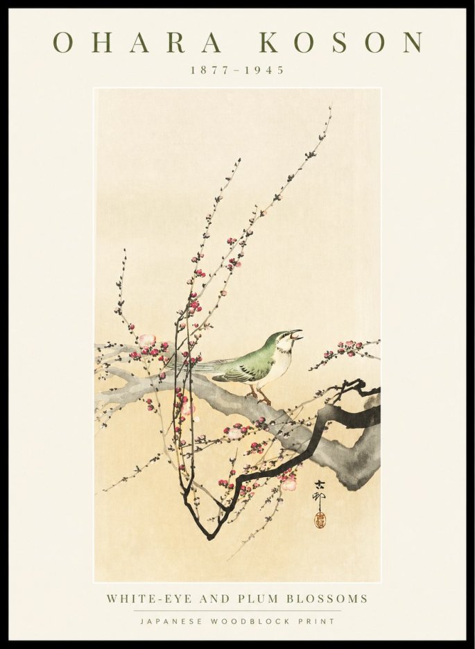 Ohara Koson White-eye and Plum Blossoms No1 - Plakát