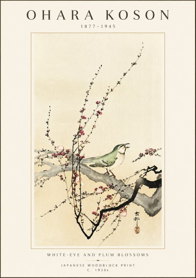 Ohara Koson White-eye and Plum Blossoms No5 - Plakát