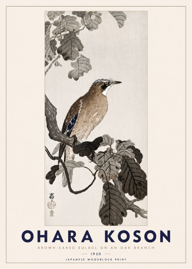 Ohara Koson Brown-eared Bulbul on an Oak Branch No3 - Plakát