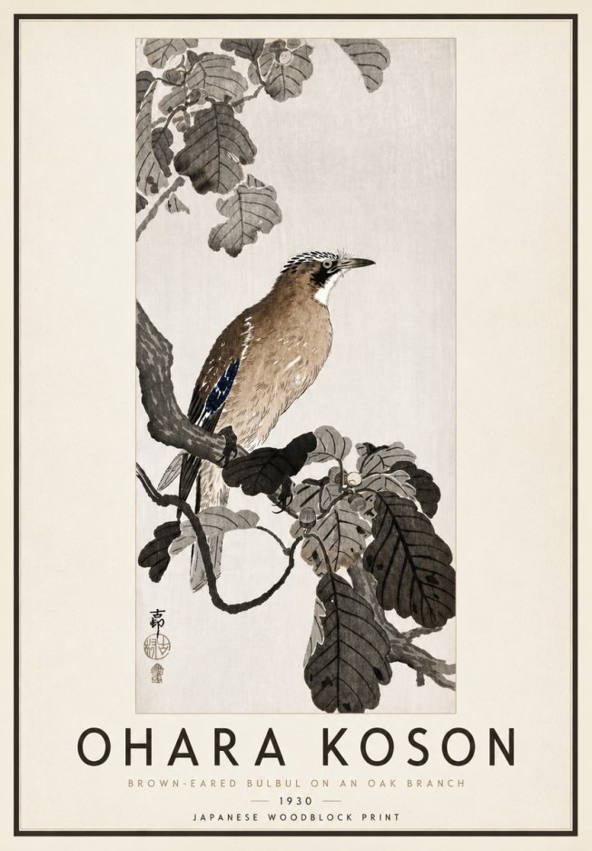 Ohara Koson Brown-eared Bulbul on an Oak Branch No4 - Plakát