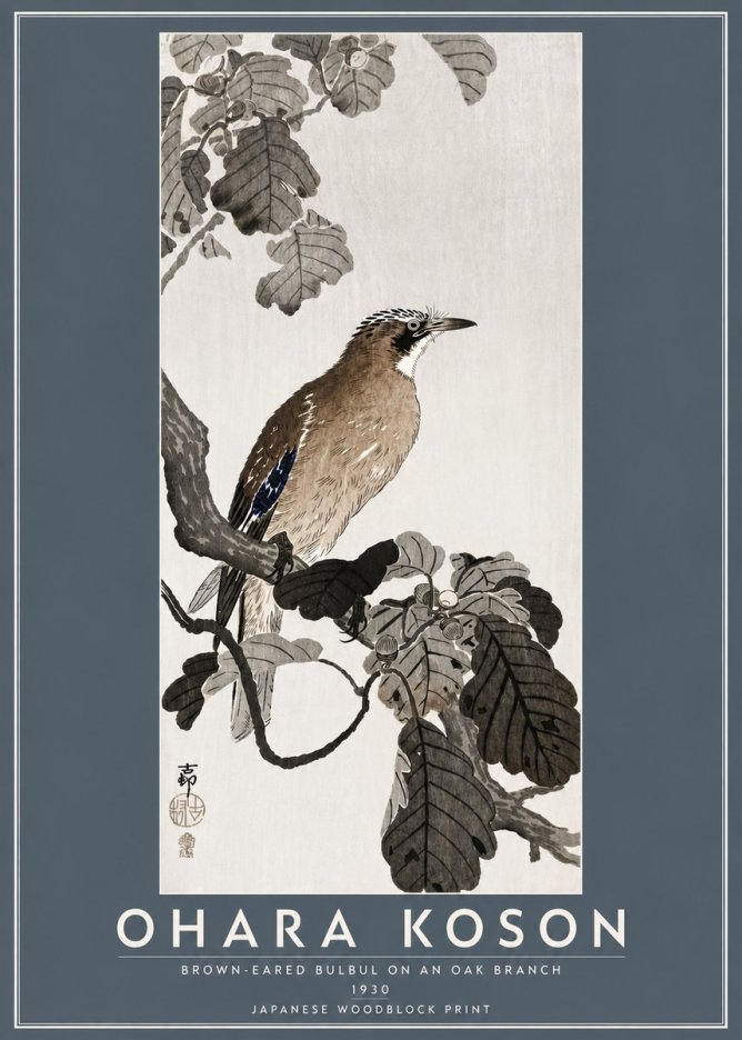 Ohara Koson Brown-eared Bulbul on an Oak Branch No5 - Plakát