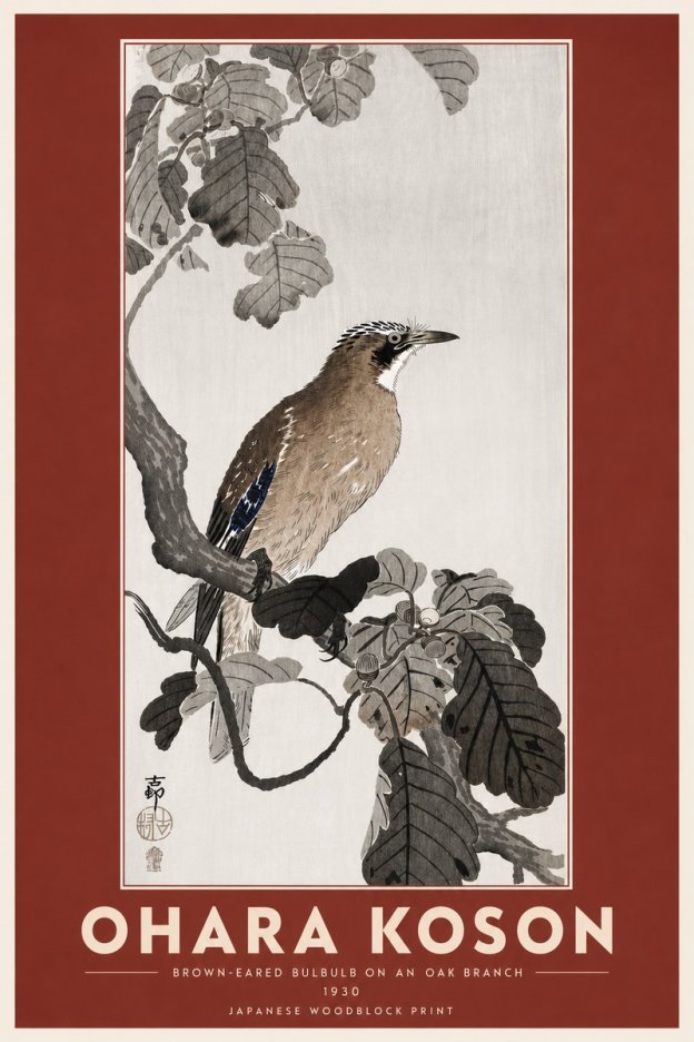 Ohara Koson Brown-eared Bulbul on an Oak Branch No6 - Plakát